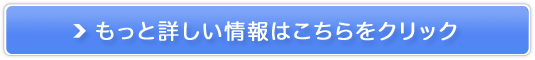NT[rXulbgXNEFAv̔TCg